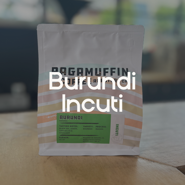 Ragamuffin Coffee Roasters | Burundi Incuti Washed Process | Single Origin Coffee