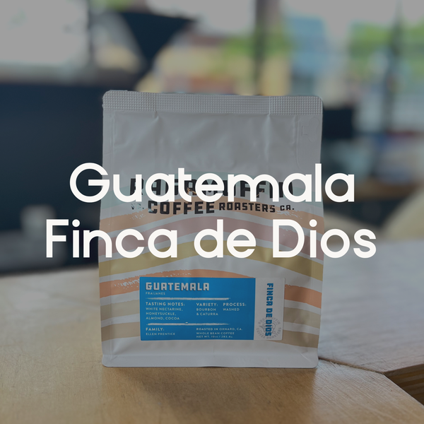 Ragamuffin Coffee Roasters | Guatemala Finca de Dios Washed Process | Single Origin Coffee