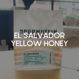 El Salvador Yellow Honey Coffee Bag | Ragamuffin Coffee Roasters