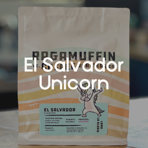 Ragamuffin Coffee Roasters | El Salvador Loma La Gloria Unicorn Process | Single Origin Coffee