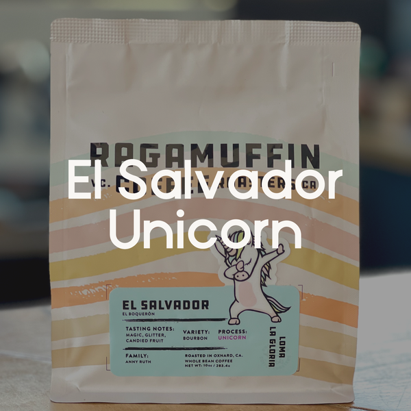 Ragamuffin Coffee Roasters | El Salvador Loma La Gloria Unicorn Process | Single Origin Coffee