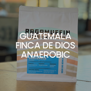 Guatemala Finca de Dios Anaerobic Coffee Bag | Ragamuffin Coffee Roasters