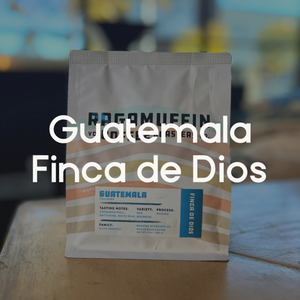 Ragamuffin Coffee Roasters | Guatemala Finca de Dios Washed Process | Single Origin Coffee | Local Roaster