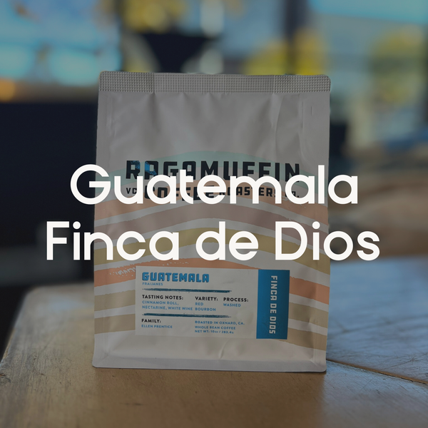 Ragamuffin Coffee Roasters | Guatemala Finca de Dios Washed Process | Single Origin Coffee | Local Roaster